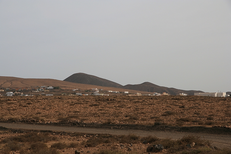 Kanary_2010 206